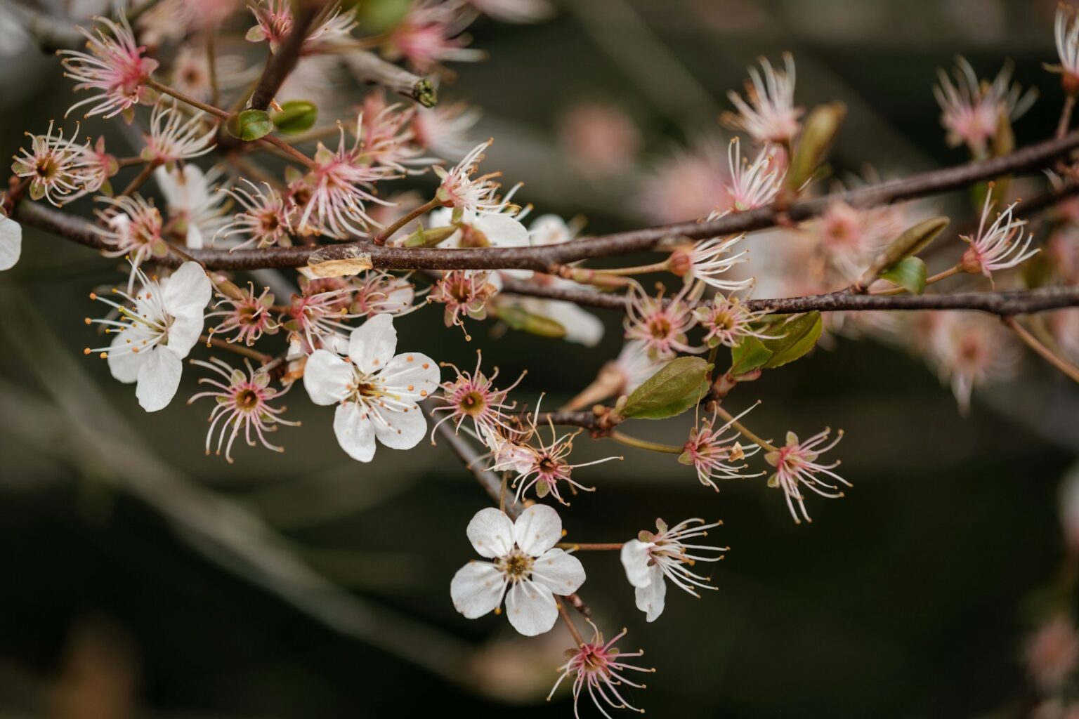 7 Tips for How to Fear Allen Christian Counseling